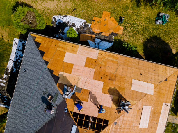 Best Metal Roofing Contractor  in Lima, OH
