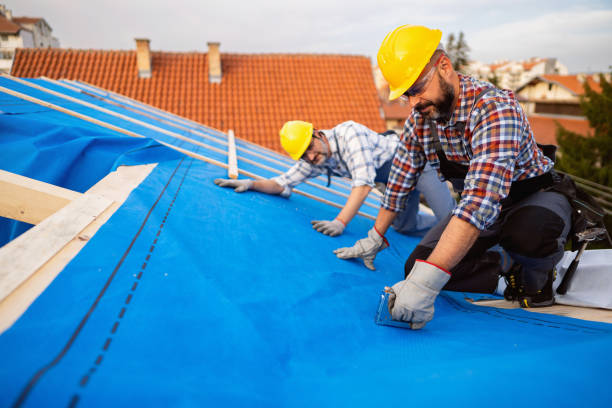 Roof Gutter Cleaning in Lima, OH